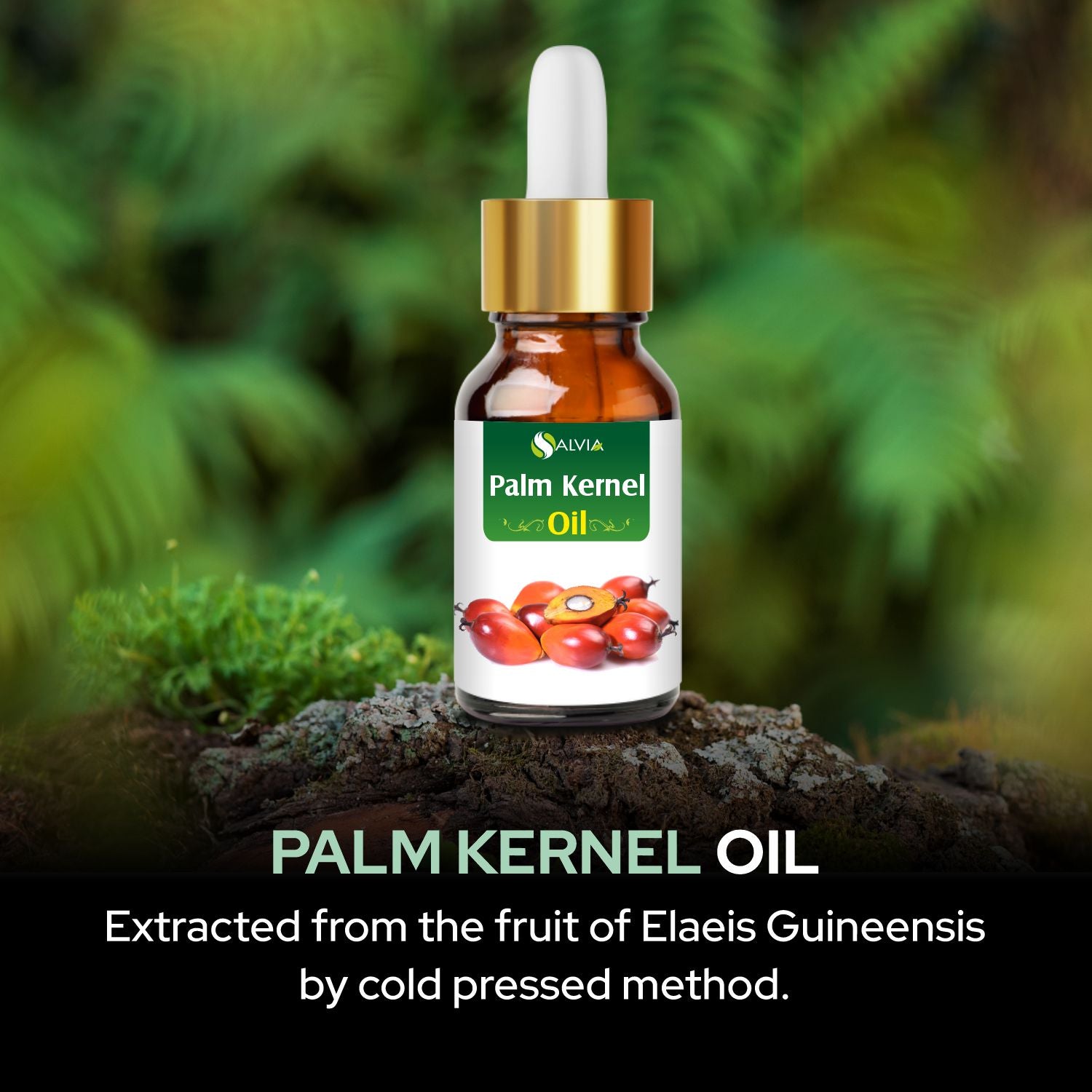Salvia Natural Essential Oils Palm Kernel Oil Salvia Natural Essential Oils Palm Kernel Oil